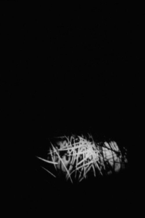 Nightfall (1984) poster