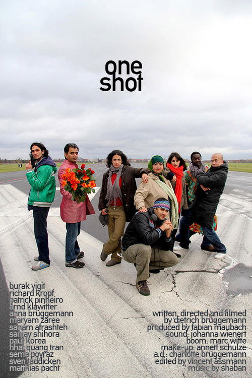 One Shot (2011) poster
