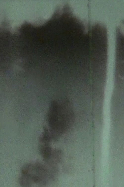 Mountain Home (2010) poster