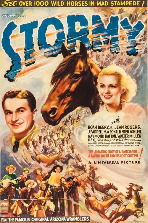 Stormy (1935) poster