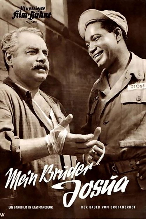 The Farmer from Brucknerhof (1956) poster