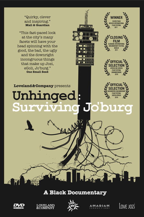 Unhinged: Surviving Jo'burg (2010) poster