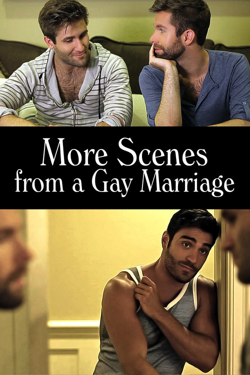 More Scenes from a Gay Marriage (2014) poster