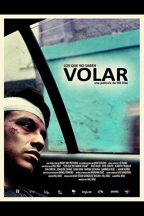 Los que no saben volar (2016) poster