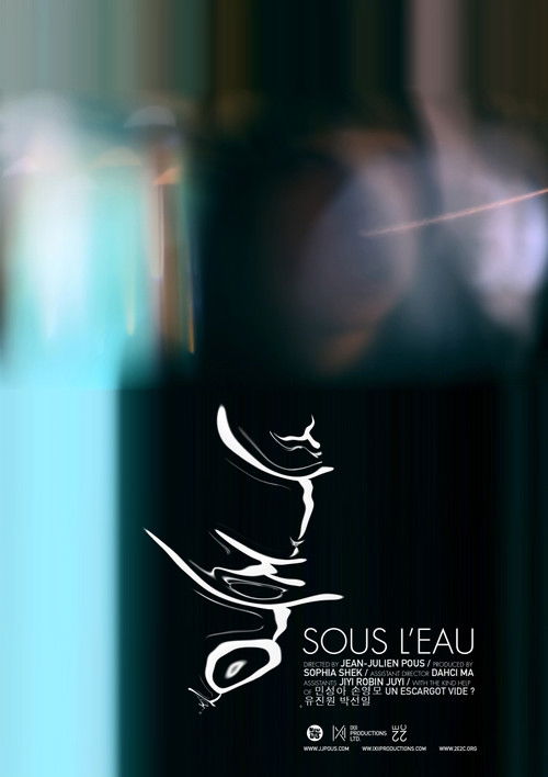 Sous L'Eau (2010) poster