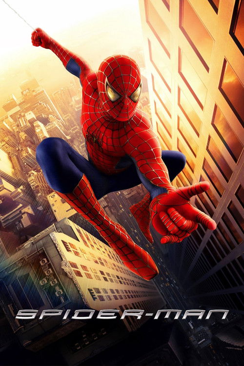 Spider-Man (2002) poster