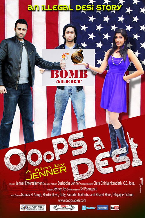 Ooops a Desi (2013) poster
