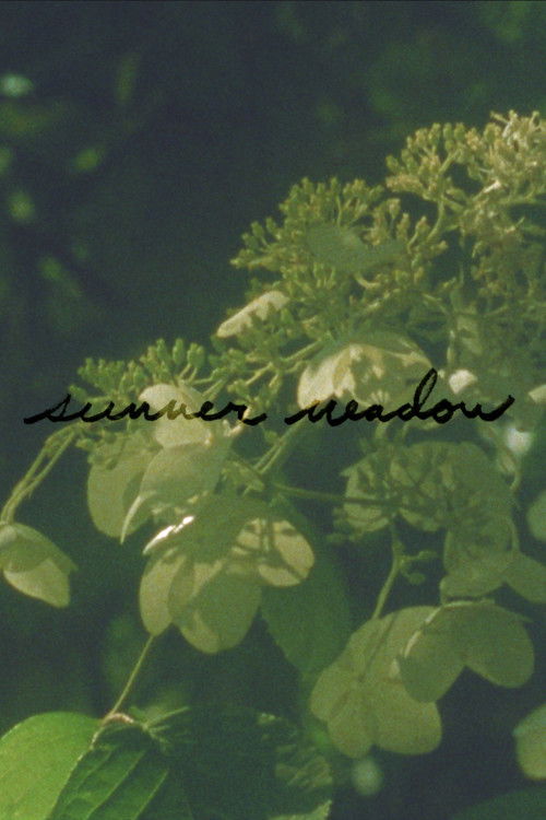 Summer Meadow (2024) poster