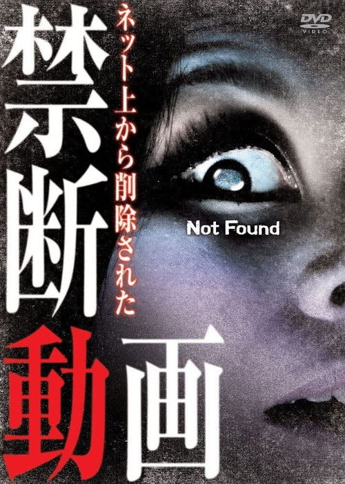 Not Found 1 (2011) poster