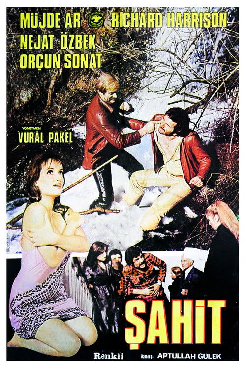 Şahit (1978) poster