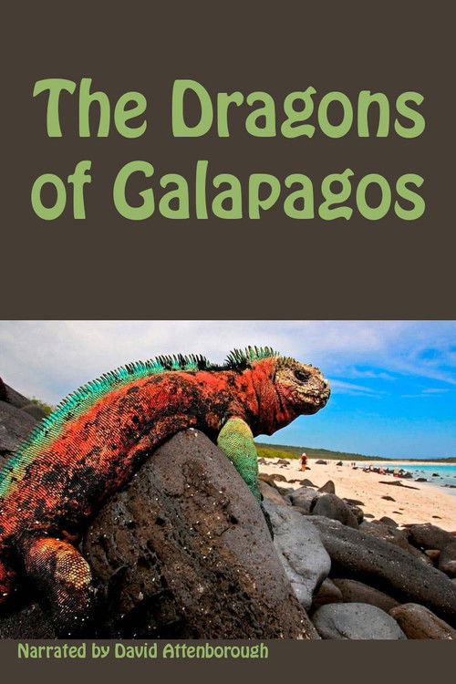 The Dragons of Galapagos (1998) poster