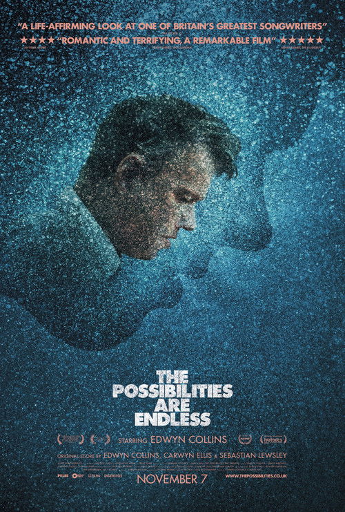 The Possibilities Are Endless (2014) poster