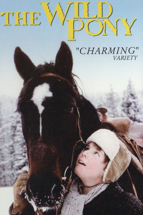 The Wild Pony (1983) poster