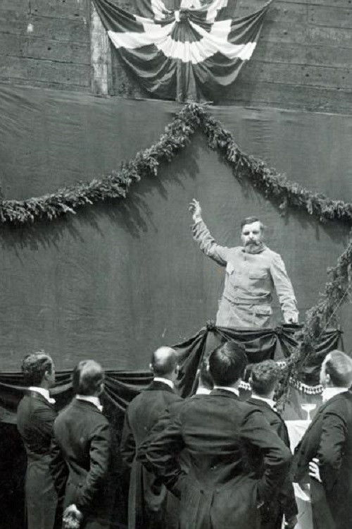 The Dock Catastrophe (1913) poster