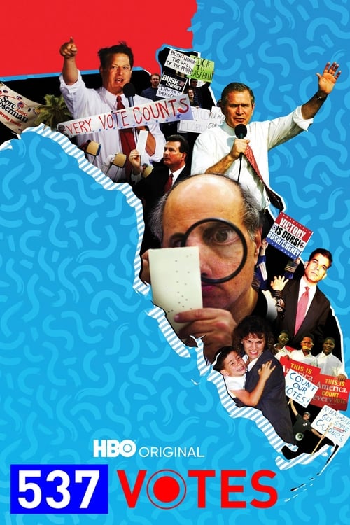 537 Votes (2020) poster