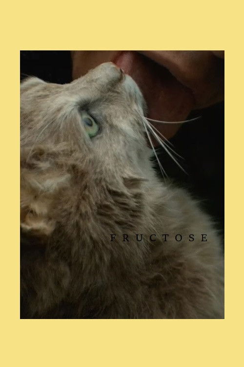Fructose (2016) poster
