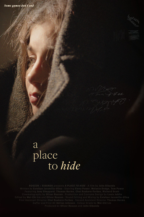 A Place to Hide poster