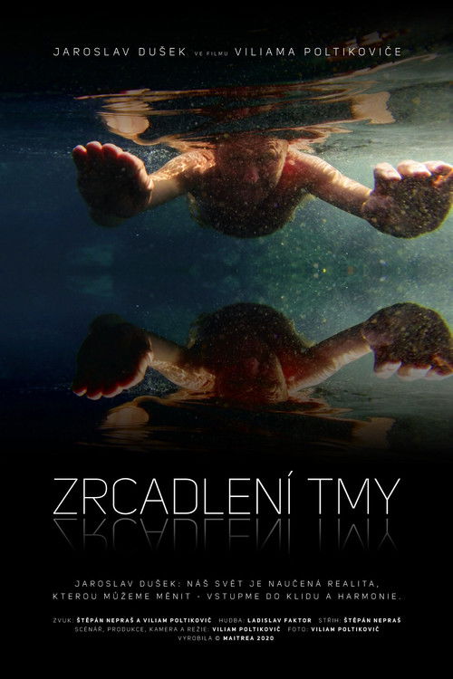 Zrcadlení tmy (2020) poster