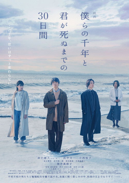 The Shoreline (2024) poster