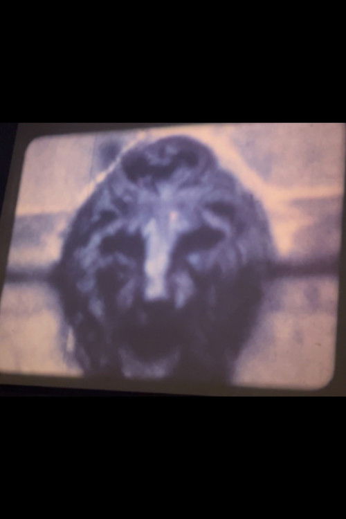 Jefferson Market (1970) poster