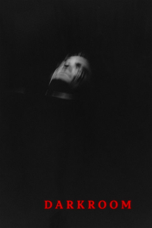 Darkroom (2025) poster