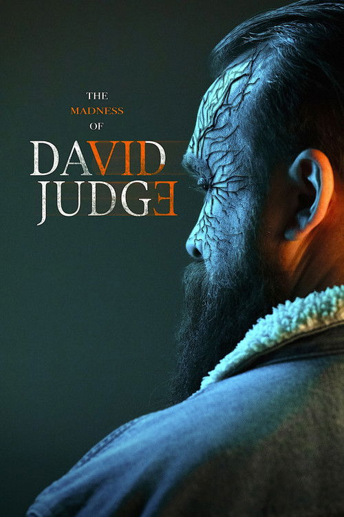 The Madness of David Judge (2025) poster