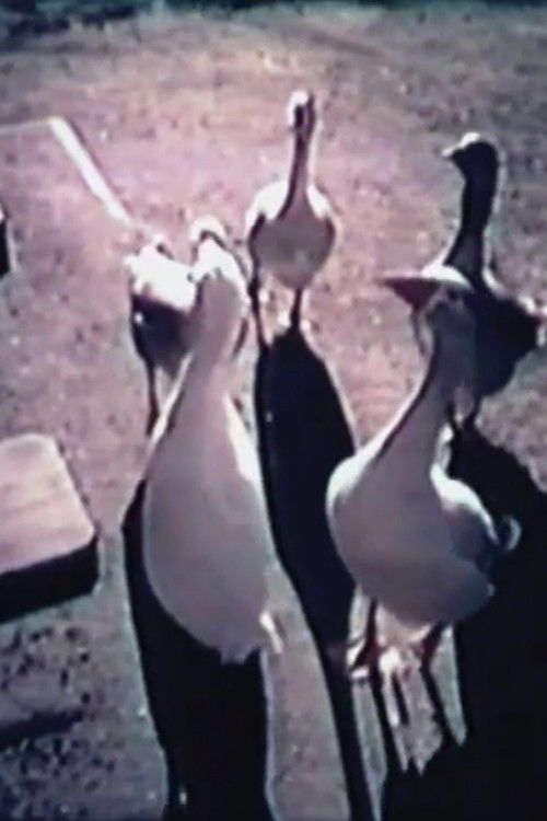 Music Of Your Own (1999) poster