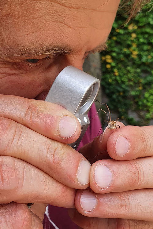 Geheimnisvolle Parktiere - Wildes Leben in der Stadt (2021) poster