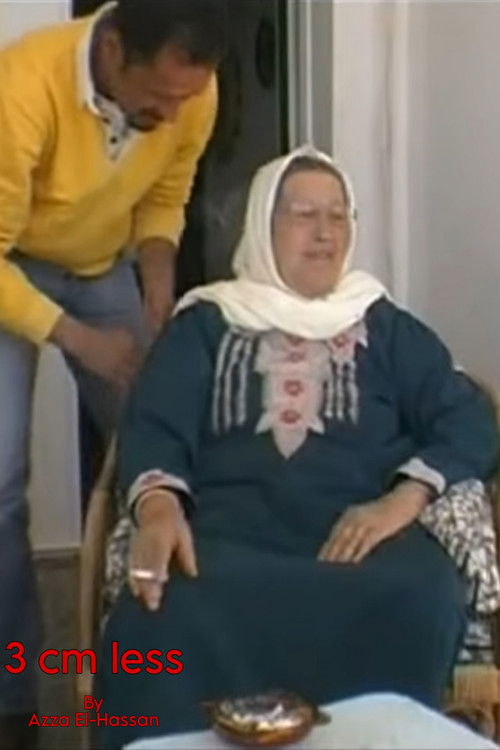 3 cm Less (2003) poster