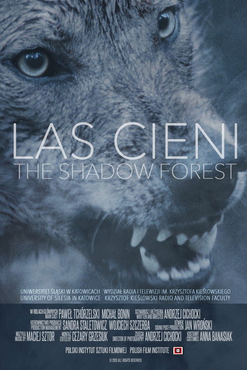 Las cieni (2014) poster