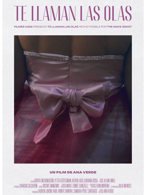 The Waves Call You (2024) poster