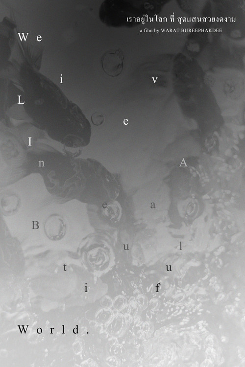 We live in a beautiful world (2022) poster