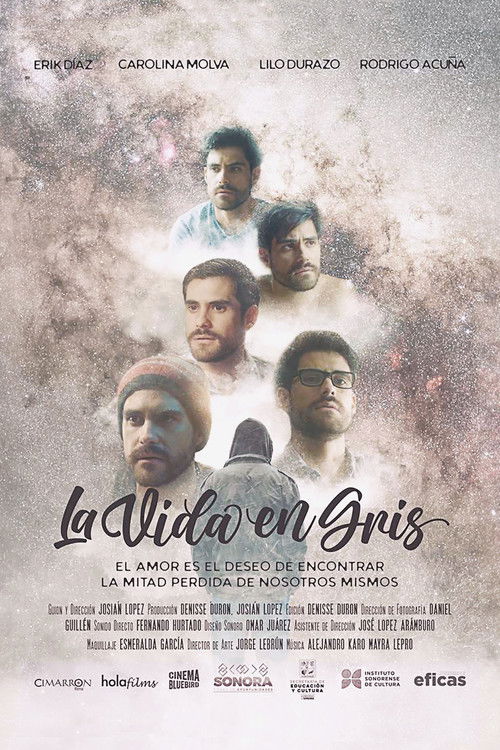 La vida en gris (2024) poster