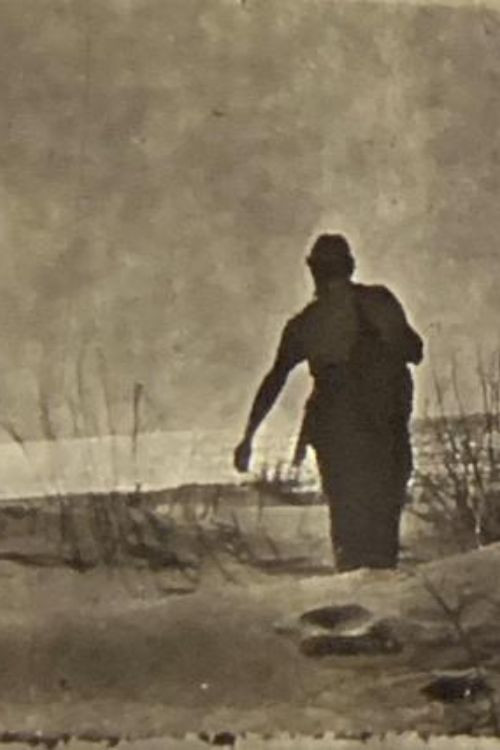 Pinamar (1956) poster