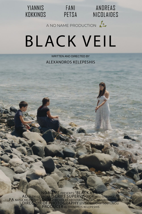 Black Veil (2023) poster