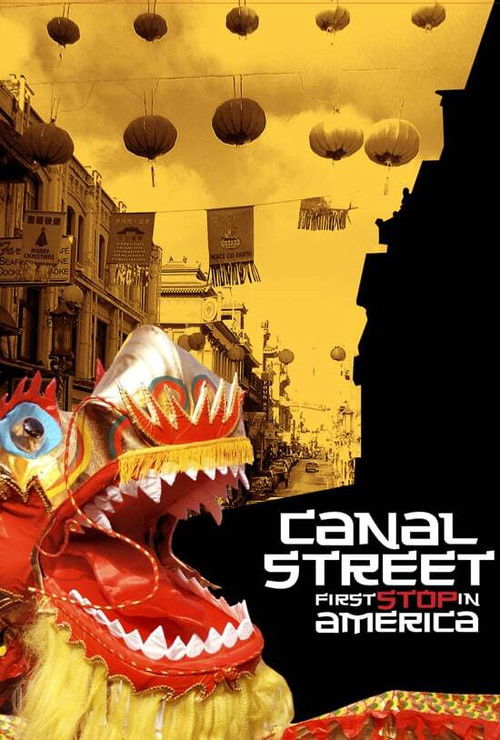 Canal Street: First Stop in America (1998) poster
