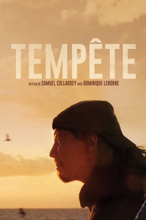 Tempête (2016) poster