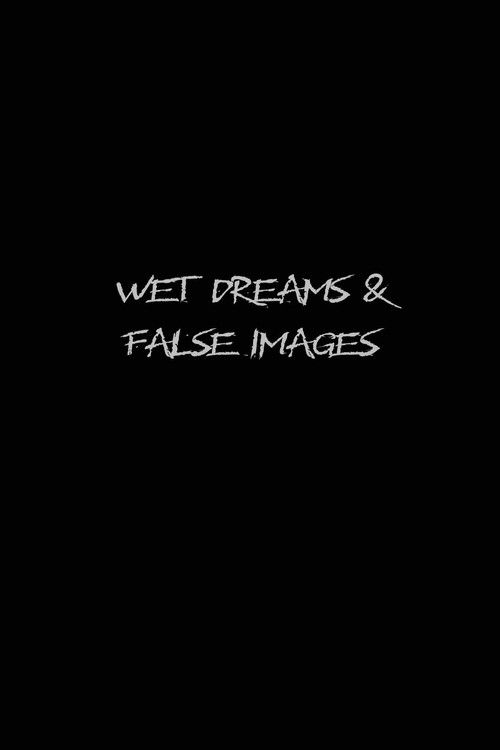Wet Dreams and False Images (2004) poster