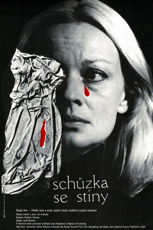 Schůzka se stíny (1983) poster