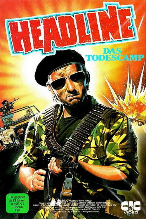 Dark Horse (1985) poster