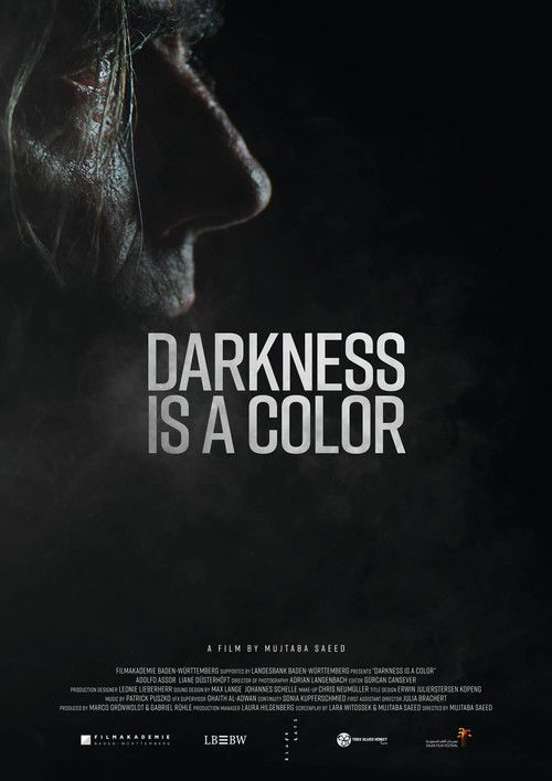 Darkness Is A Color (2019) poster