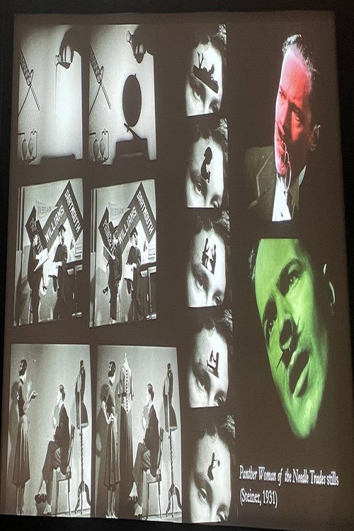 Panther Woman of the Needle Trades, or The Lovely Life of Little Lisa (1931) poster