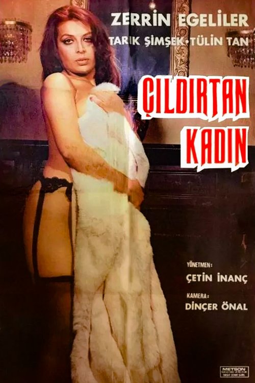 Çıldırtan Kadın (1978) poster