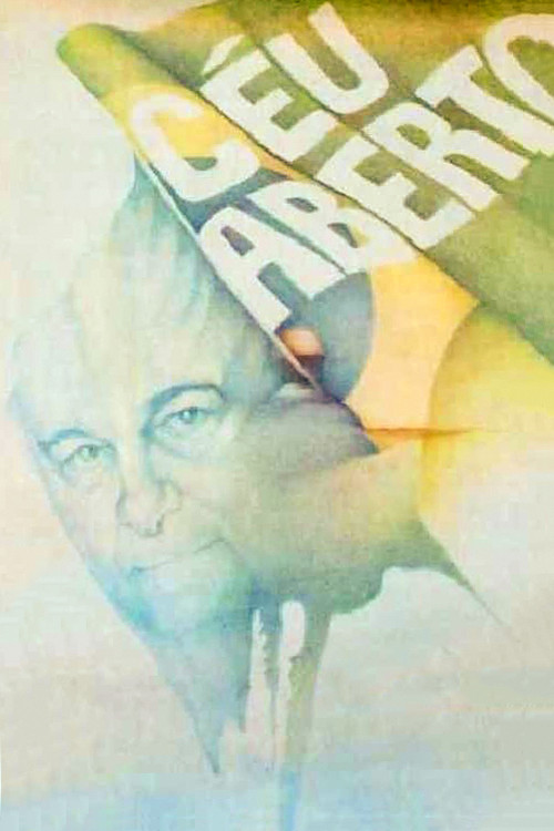 Open Skies (1985) poster