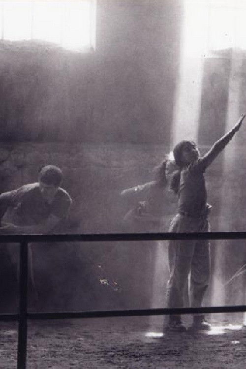 Vertigo Bird (1996) poster