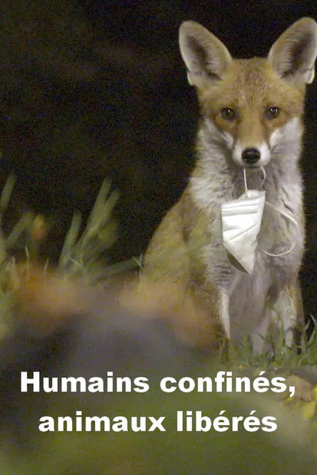 Menschen eingesperrt, Tiere befreit (2023) poster