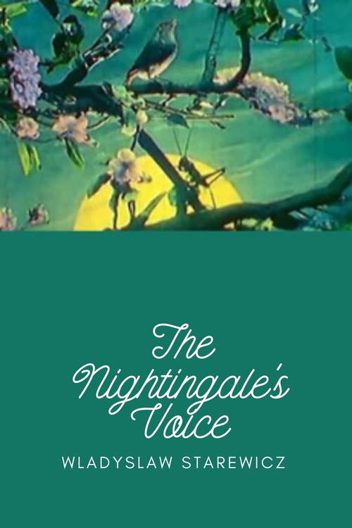 Voice of the Nightingale (1923) poster