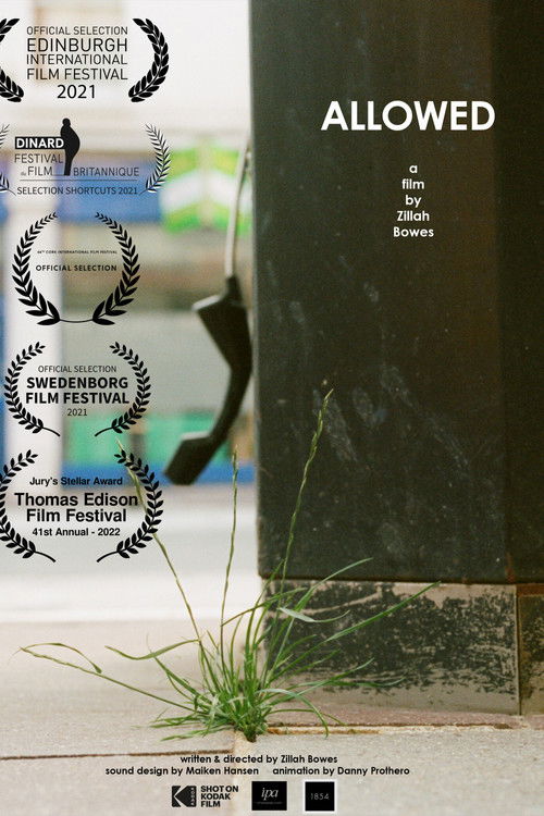 Allowed (2021) poster