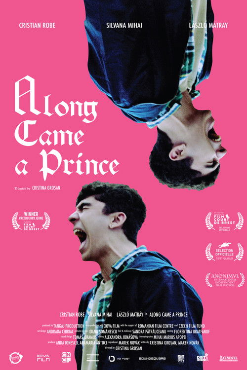 Along Came a Prince (2021) poster