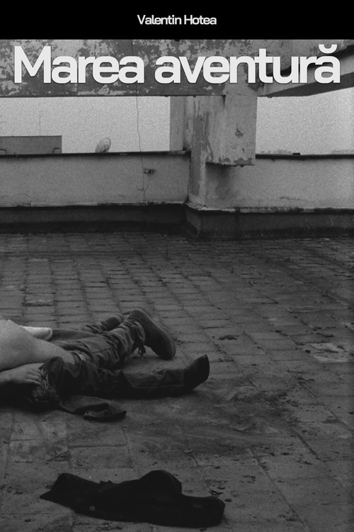 Marea aventură (1994) poster